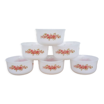 Set de 6 ramequins opaline motifs roses Arcopal vintage