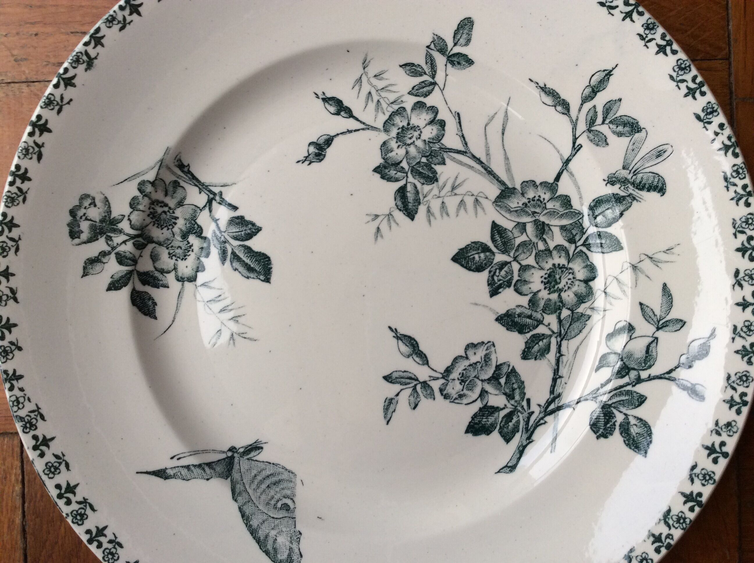 Série de 4 assiettes anciennes Terre de Fer modèle « Églantine »