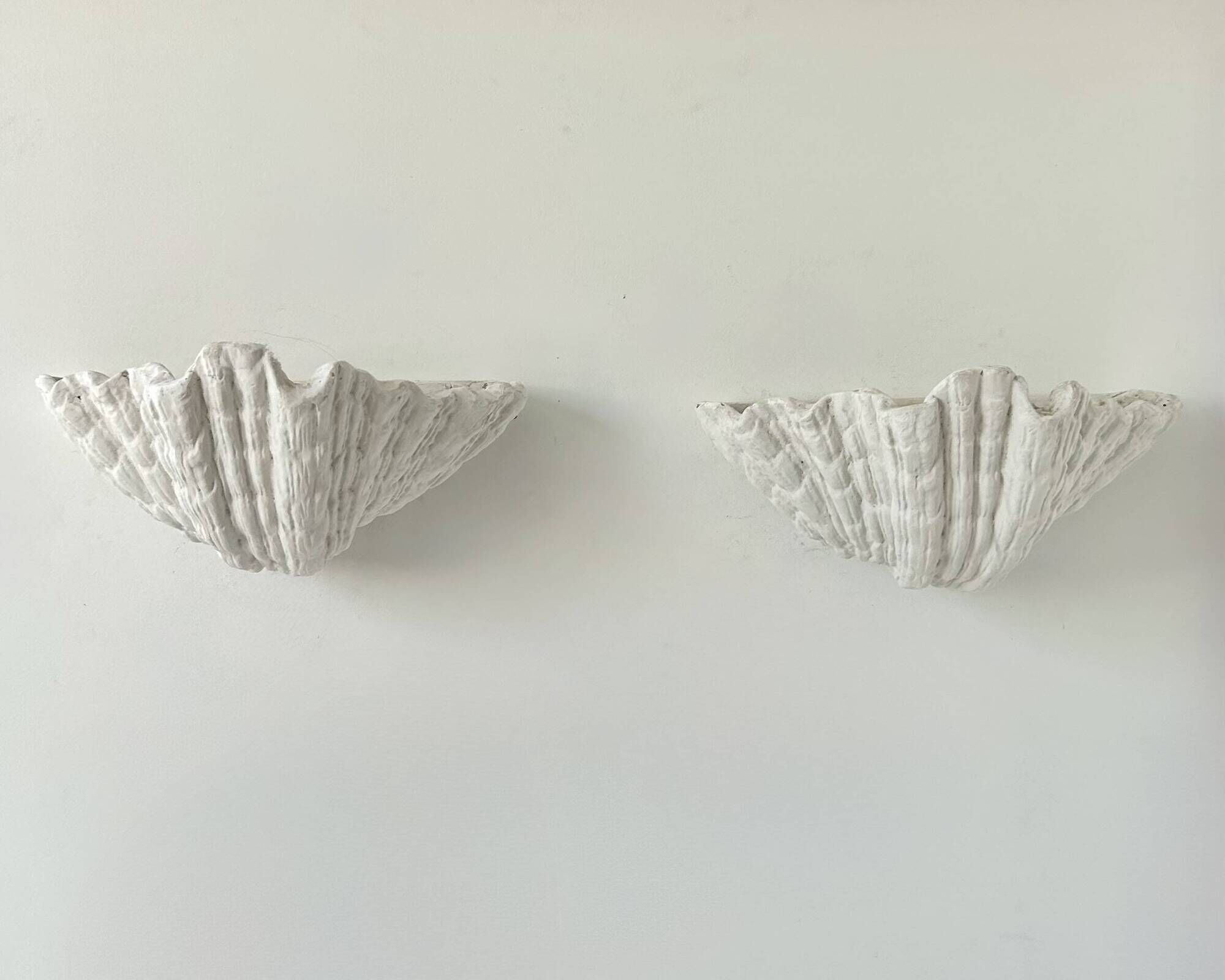 Pair of XL vintage shell plaster wall lights, France, attributed to S. Roche.