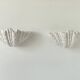 Pair of XL vintage shell plaster wall lights, France, attributed to S. Roche.