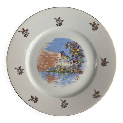 Assiette ancienne porcelaine de Limoges – décor oiseau – 25 cm