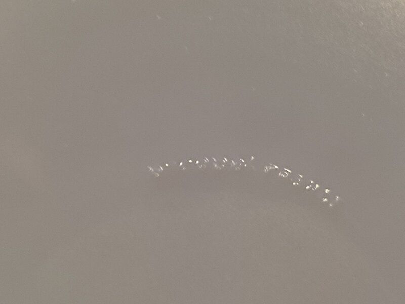 Flat plates Arcopal orange flowers