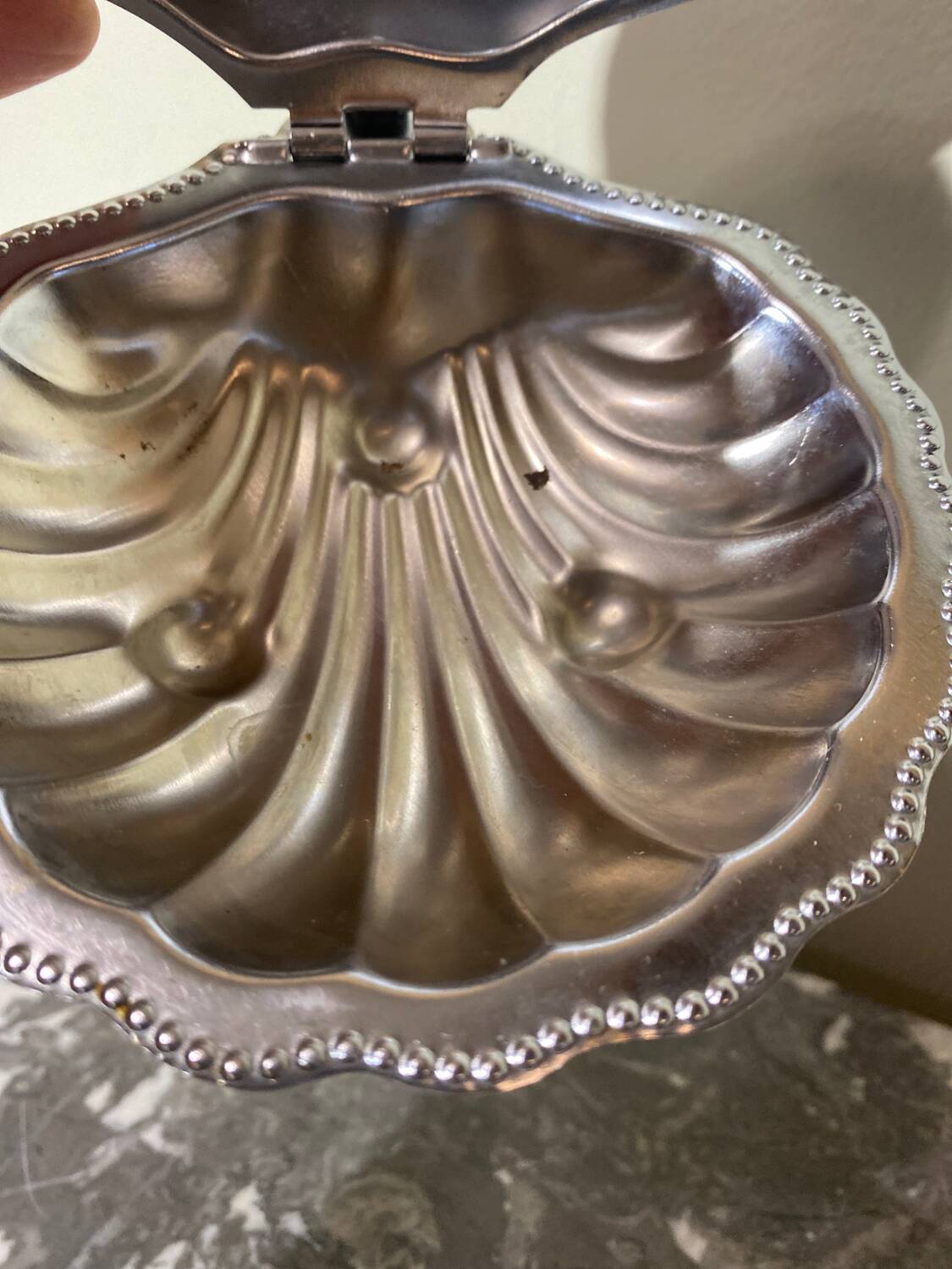 Beurrier coquillage