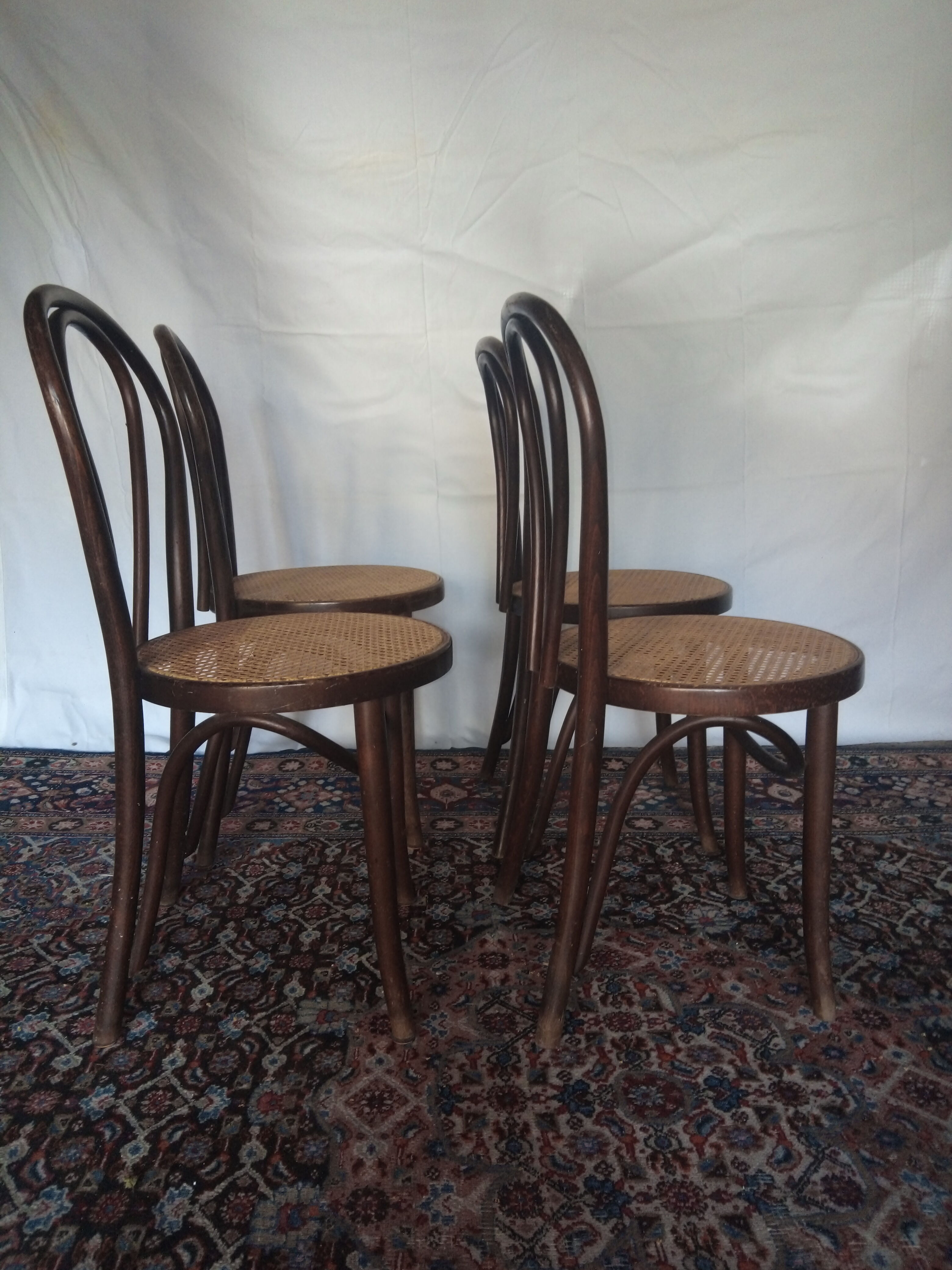 Vintage Thonet bistro chairs