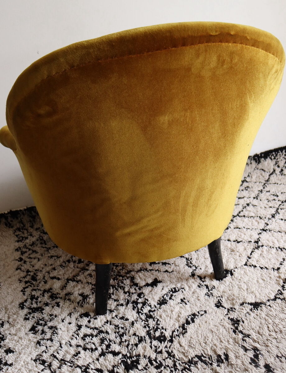 Ochre toad Napoleon III