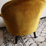 Ochre toad Napoleon III