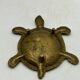 Vintage turtle ashtray in gilded brass, patinated animal-shaped catchall.
