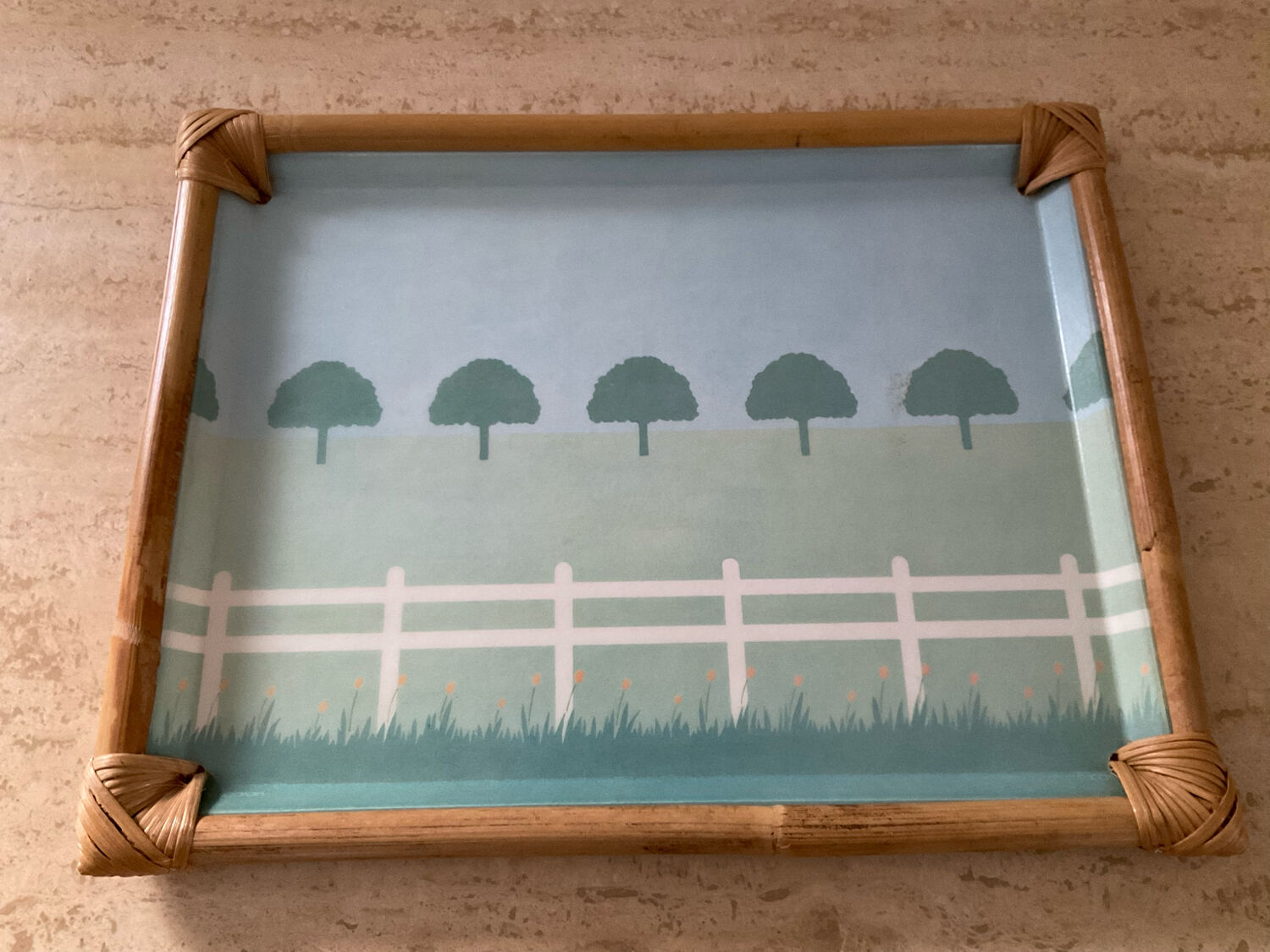 Vintage alpac tray in fiberglass and rattan