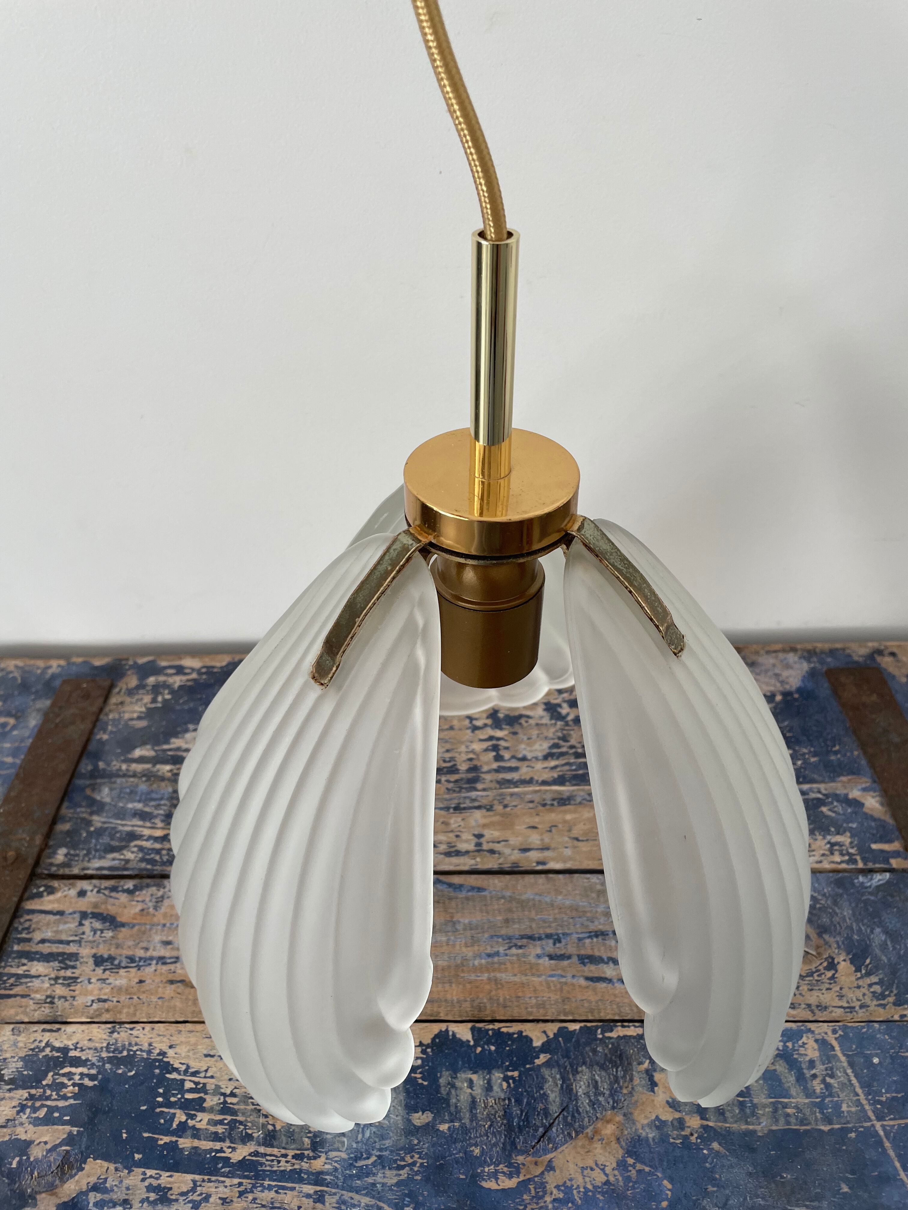 Shell suspension or shell in new electrified glass paste