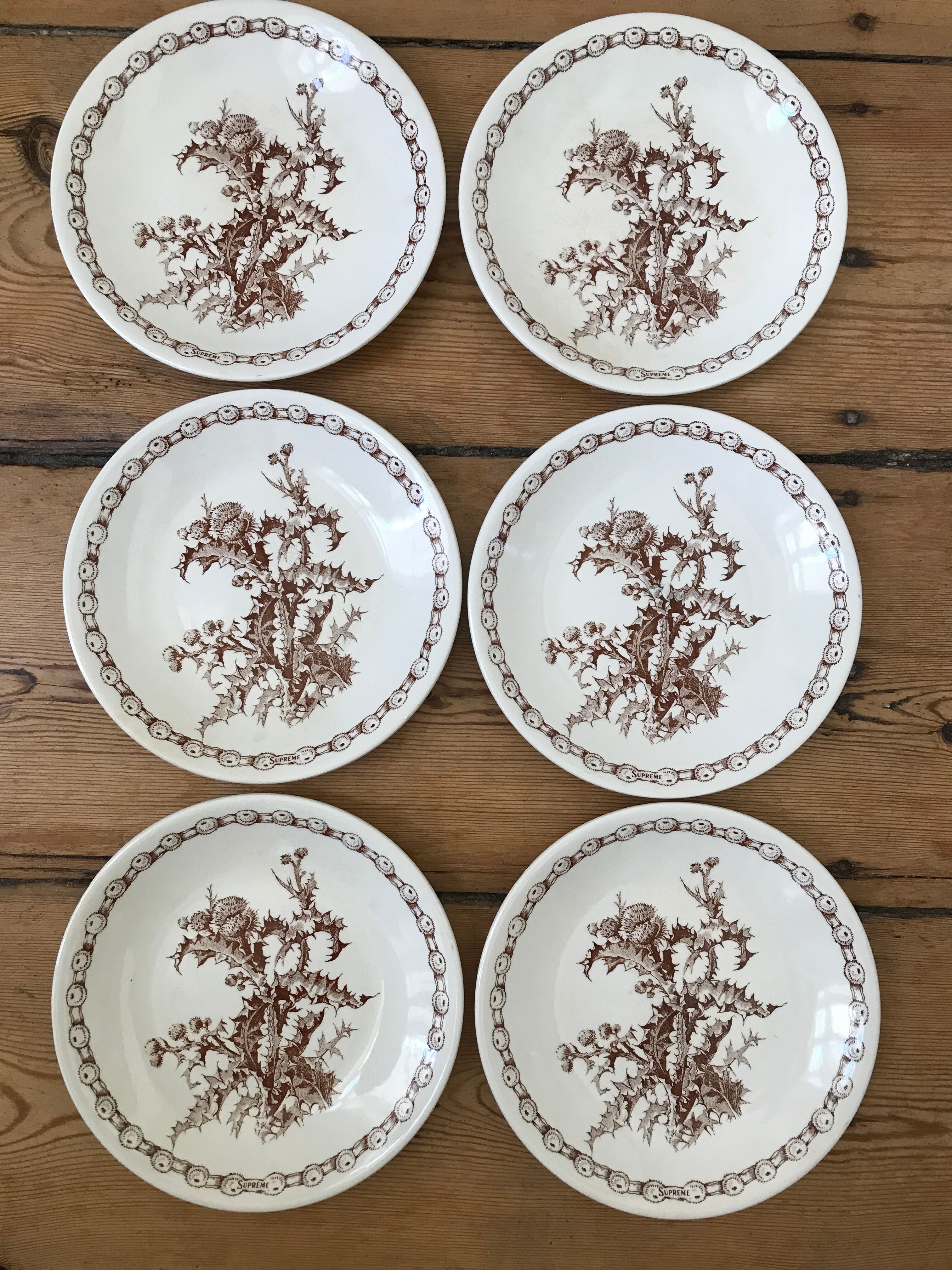 Series of 6 flat plates old model "Thistles" Gien
