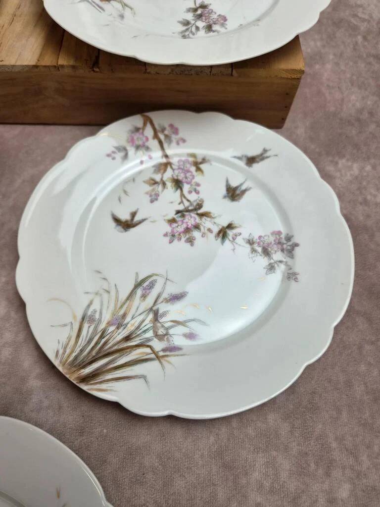 Set of 7 antique porcelain plates – Decorated with polychrome birds and flowers
