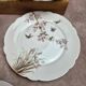 Set of 7 antique porcelain plates – Decorated with polychrome birds and flowers