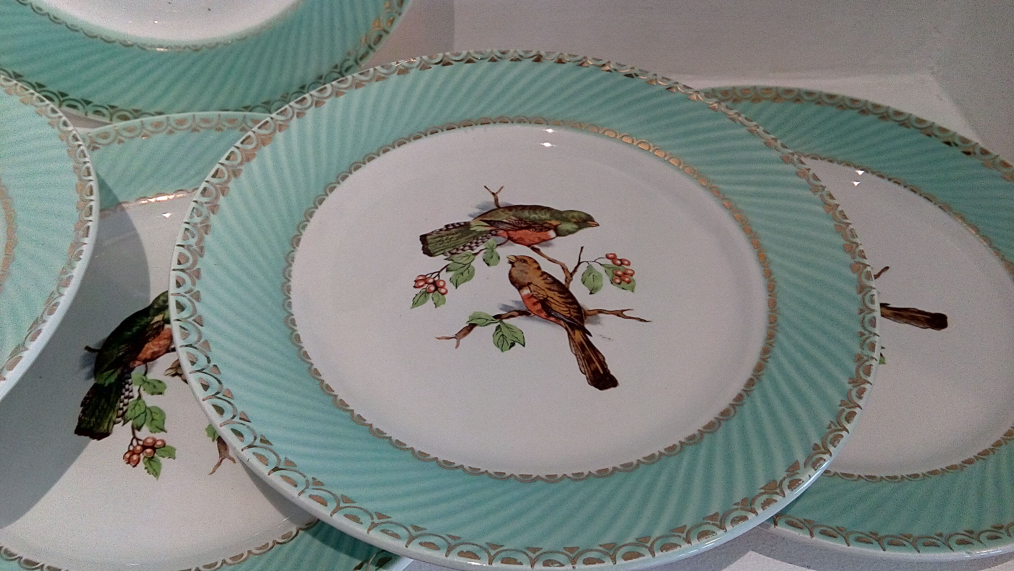 Flat plates water green birds