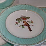 Flat plates water green birds