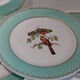 Flat plates water green birds