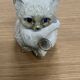 Japan cat teapot