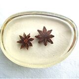 Paper press inclusion of star anise