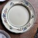 Lot de 12 assiettes plates vintage dépareillées