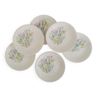 Digoin Sarreguemines Earthenware Dinner Plates Vintage Papillotes Model