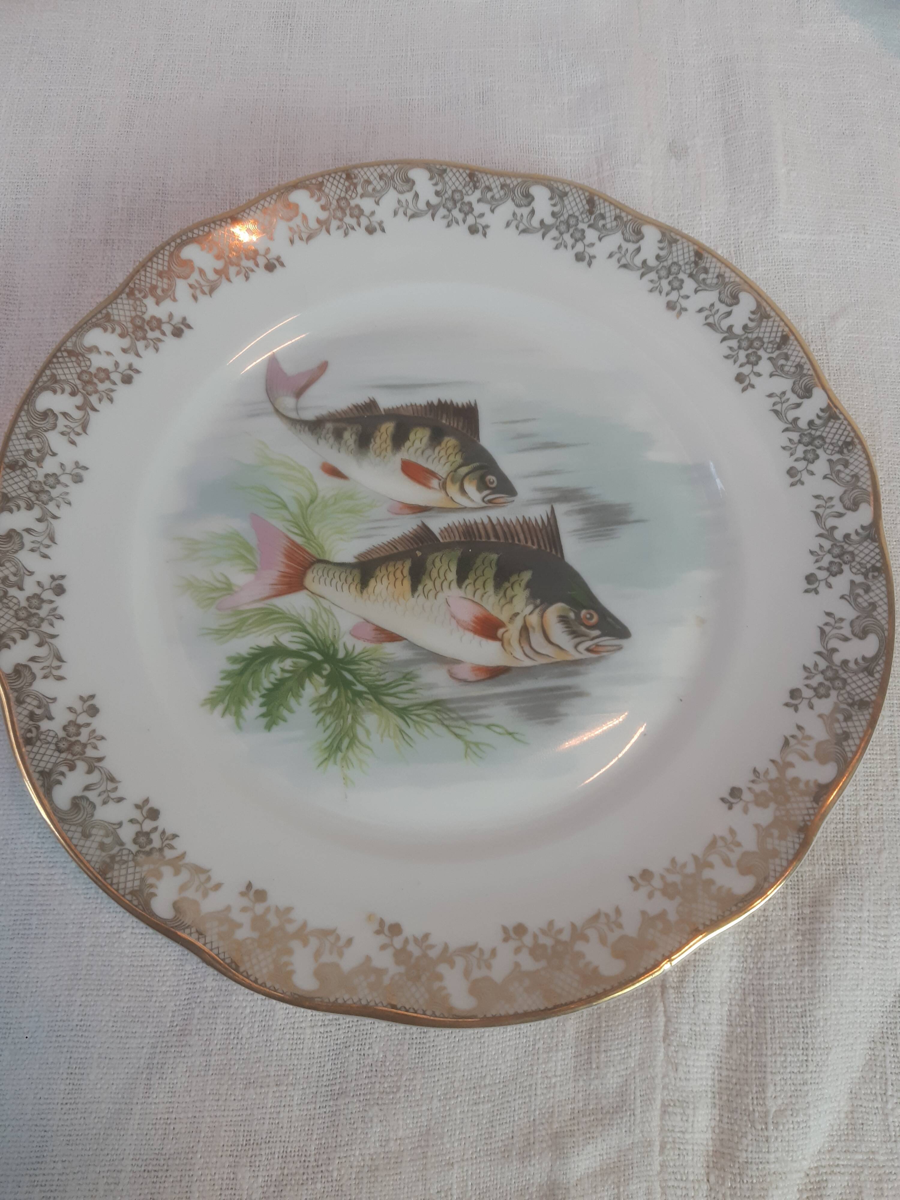 Lot of fish plates