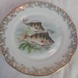 Lot of fish plates