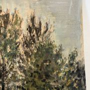 "Trees" oil on cardboard signed