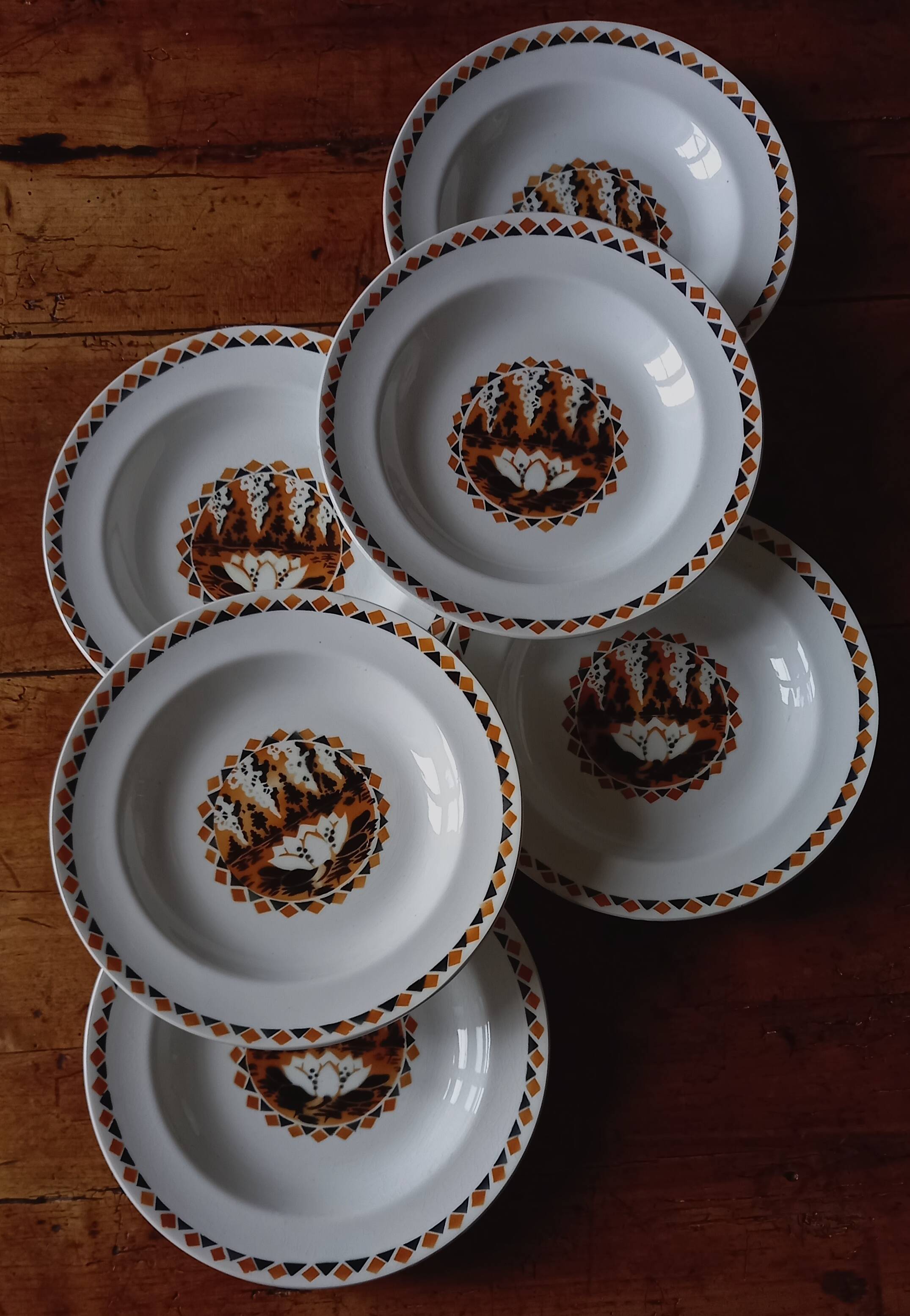 Set of 10 large ironstone plates Art Deco Saint-Amand Water Lily