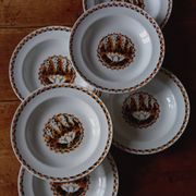 Set of 10 large ironstone Art Deco plates Saint-Amand Water Lily