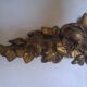 Antique furniture frieze in bronze with floral motifs, Louis XVI style.