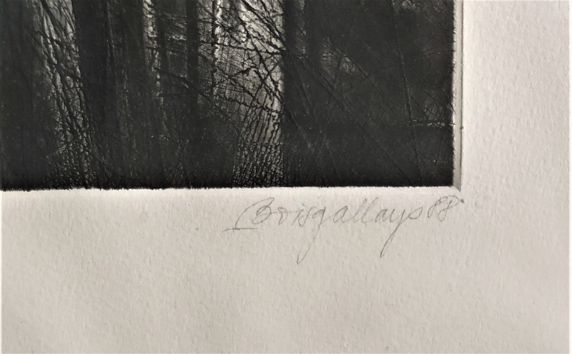 Original lithograph H.C. de BOISGALLAYO from 1988