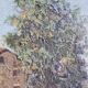 More in Provence - Oil on canvas
