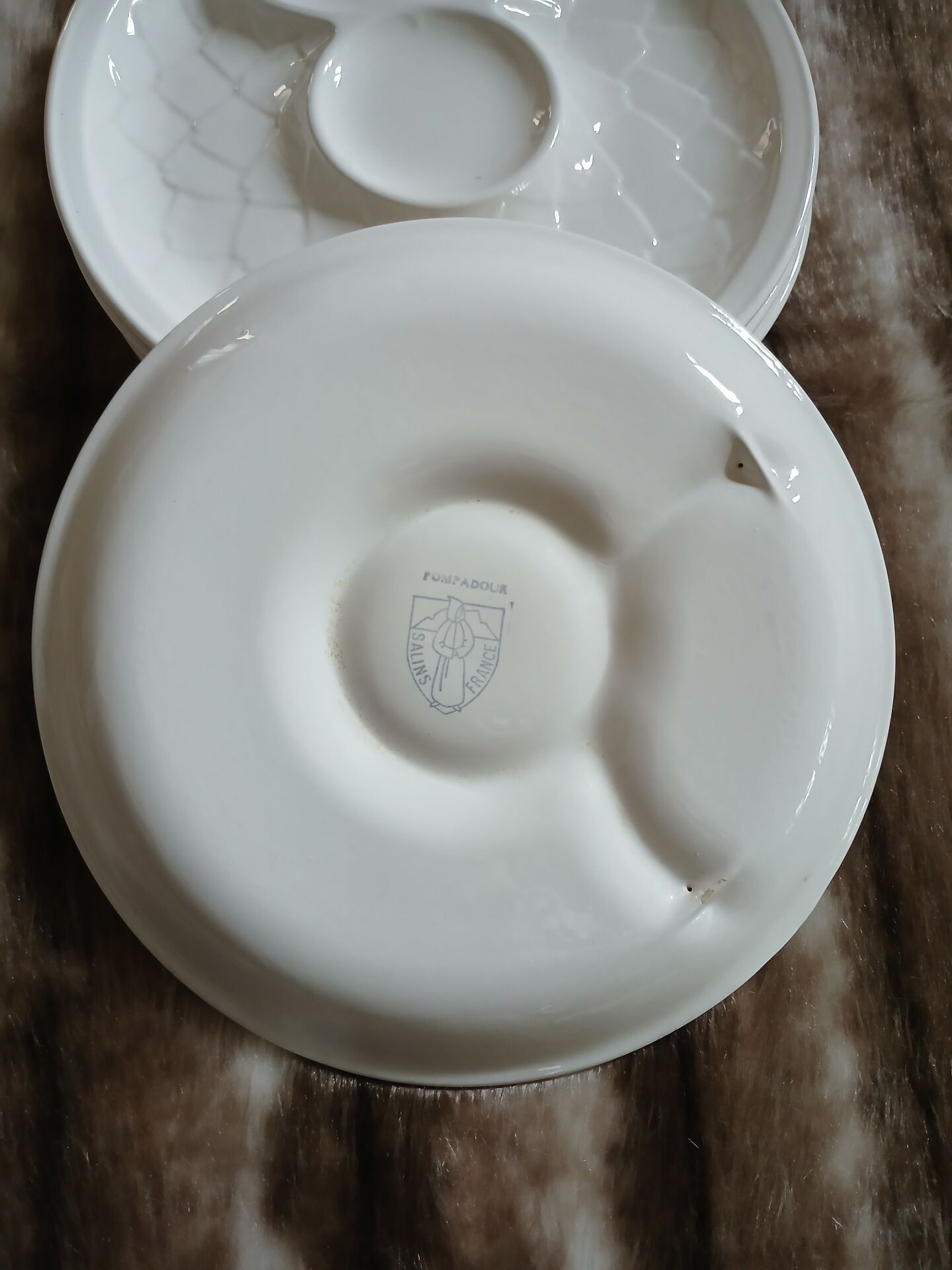 5 antique flat plates in majolica
