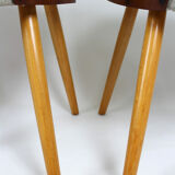 Dining chairs by Oswald Haerdtl for Tatra, 1960s, set of 4