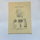 Gravure botanique papillons double face planche naturaliste Eau forte