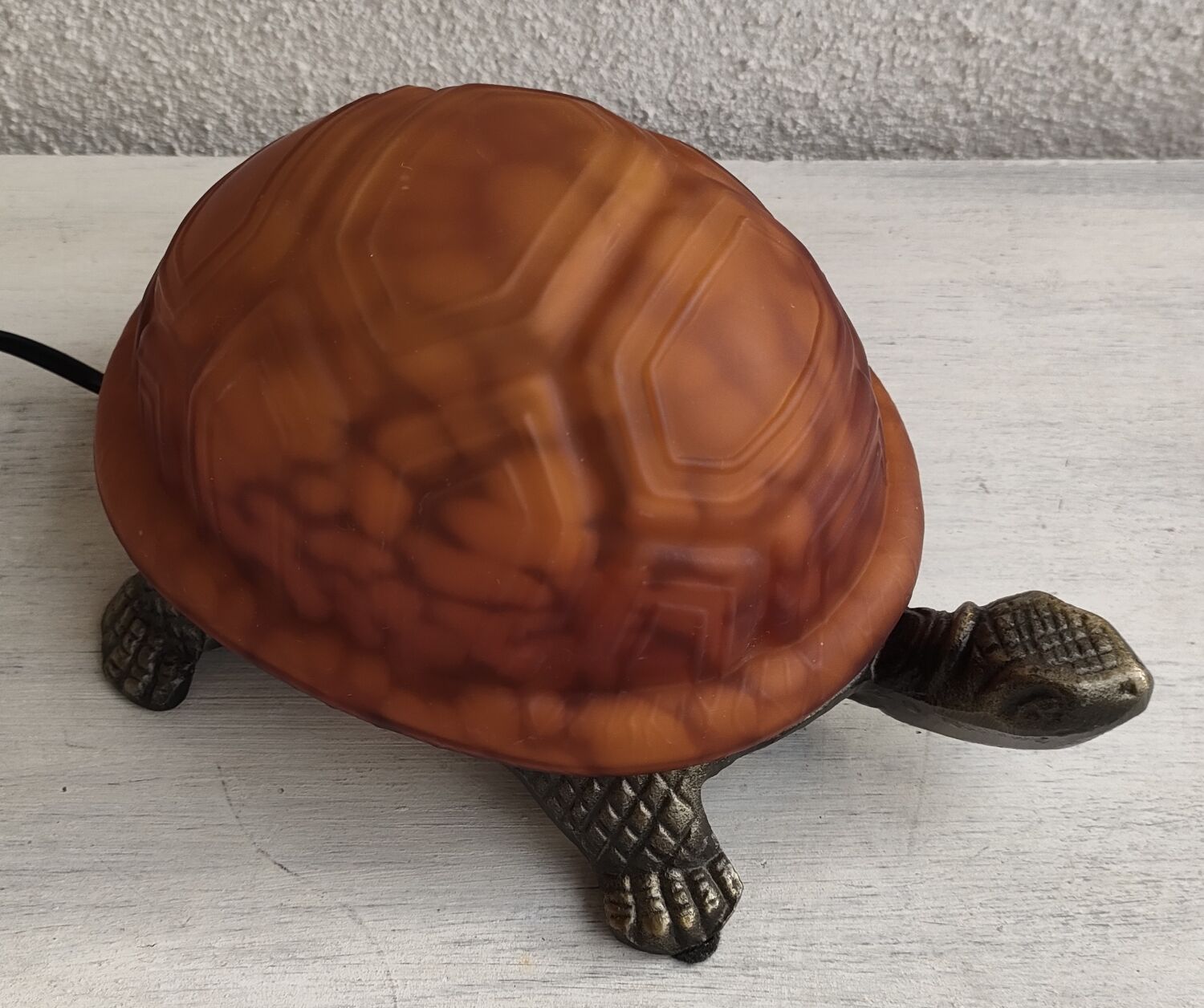 Night light turtle to pose