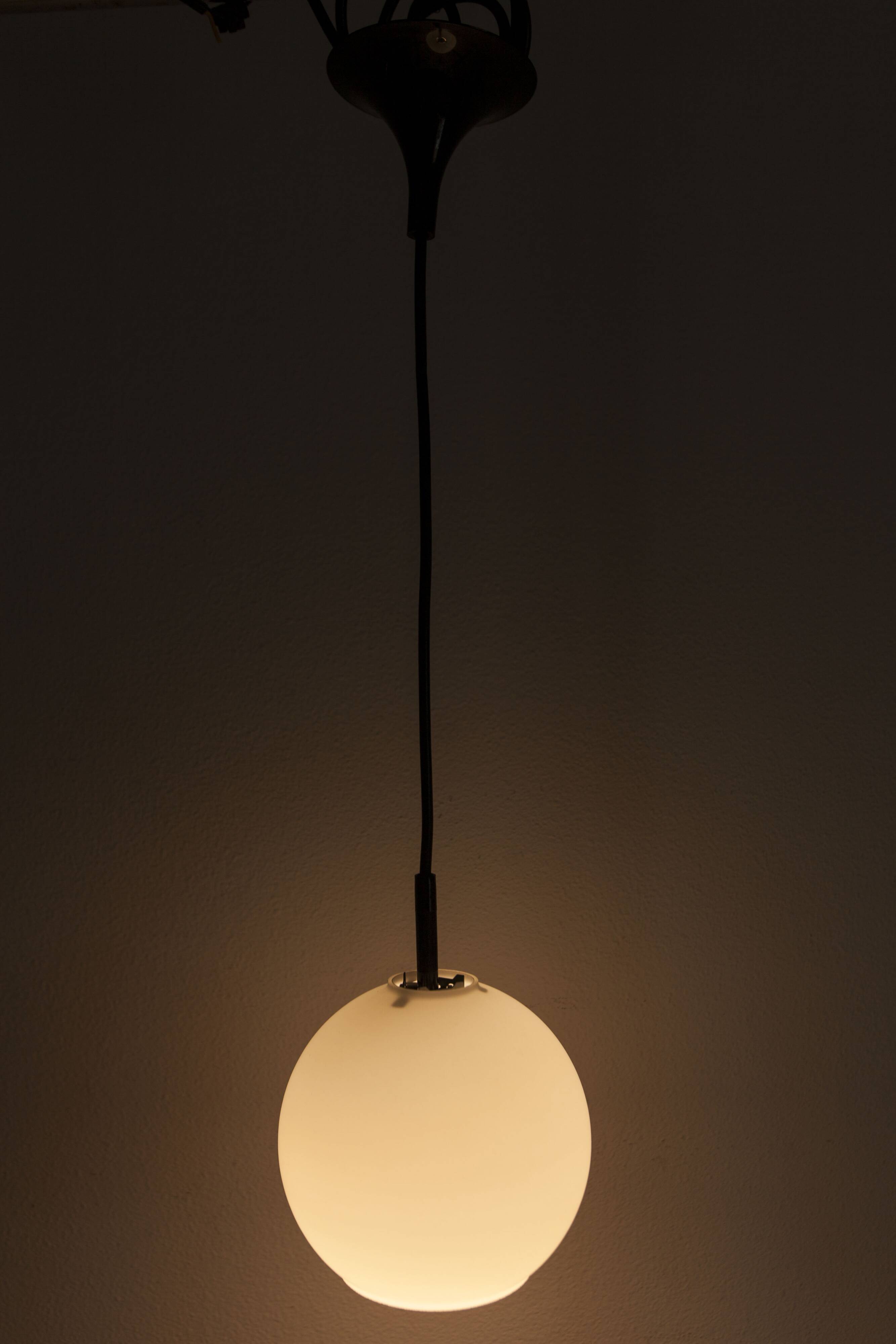 1970 white opaline tulip cone pendant lights (6 available)