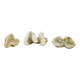 3 old white corals, coral