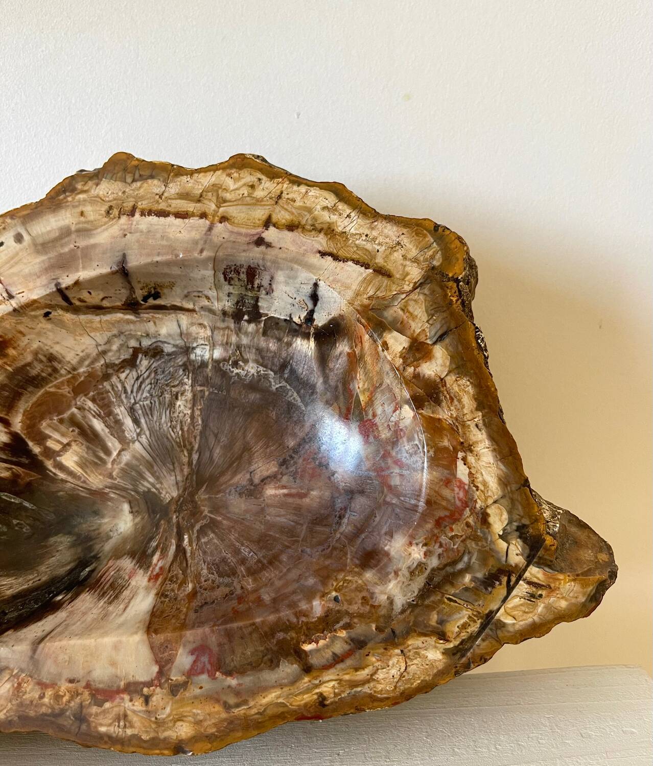 Petrified wood catchall