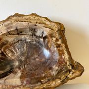Petrified wood catchall