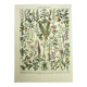 Botanical plate 1928 A. Millot - Medicinal plants 1, herbalism