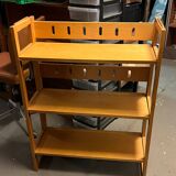 OLD SCANDINAVIAN STYLE BOOKSTORE SHELF