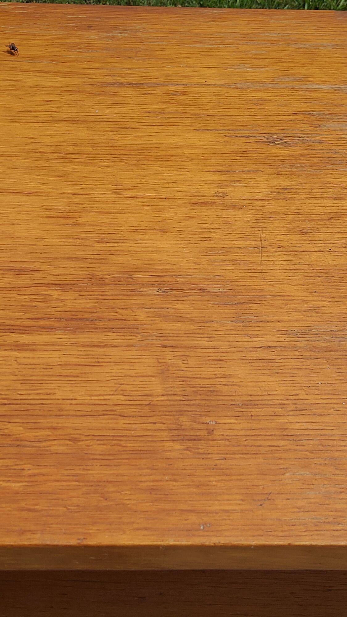 Vintage Golden Blond Oak Chest of drawers Feet Compass 6 Drawers 1 Door 50s