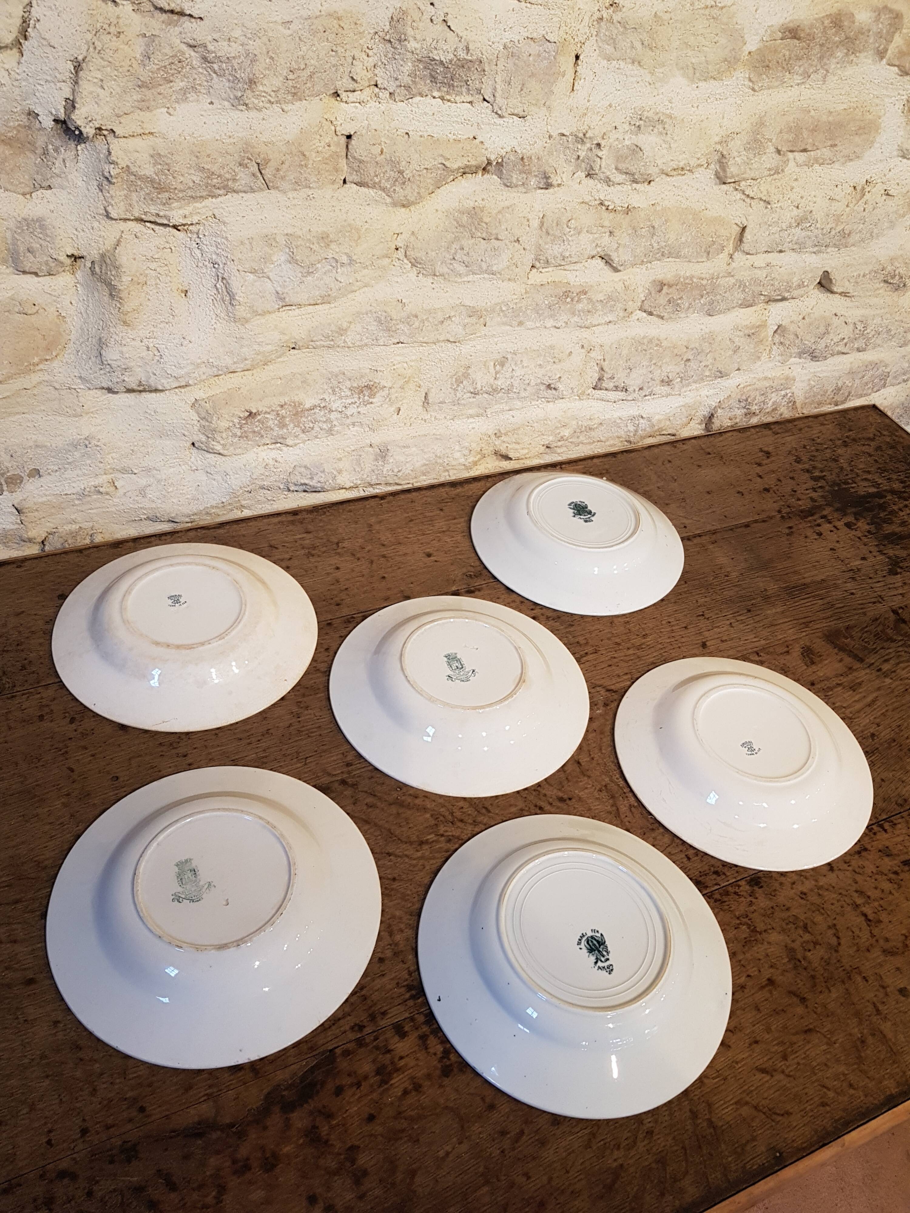 Series of 6 soup plates Earth iron