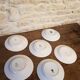 Series of 6 soup plates Earth iron