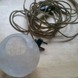 Ceramic lizard lamp and globe