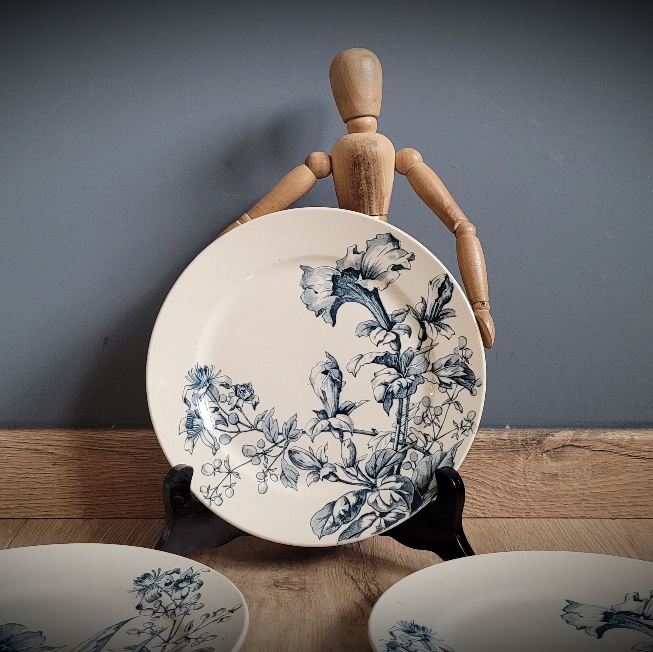 6 plates petunia bfk