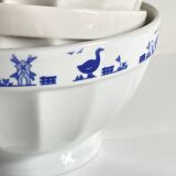 Set of 3 SATURNIA Italy Earthenware Bowls