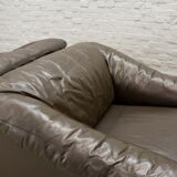 Comfortable Leolux Seal Brown Leather Lounge Chairs The Netherlands 1970s