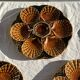 Set of 12 oyster or shell plates in glazed brown ceramic D