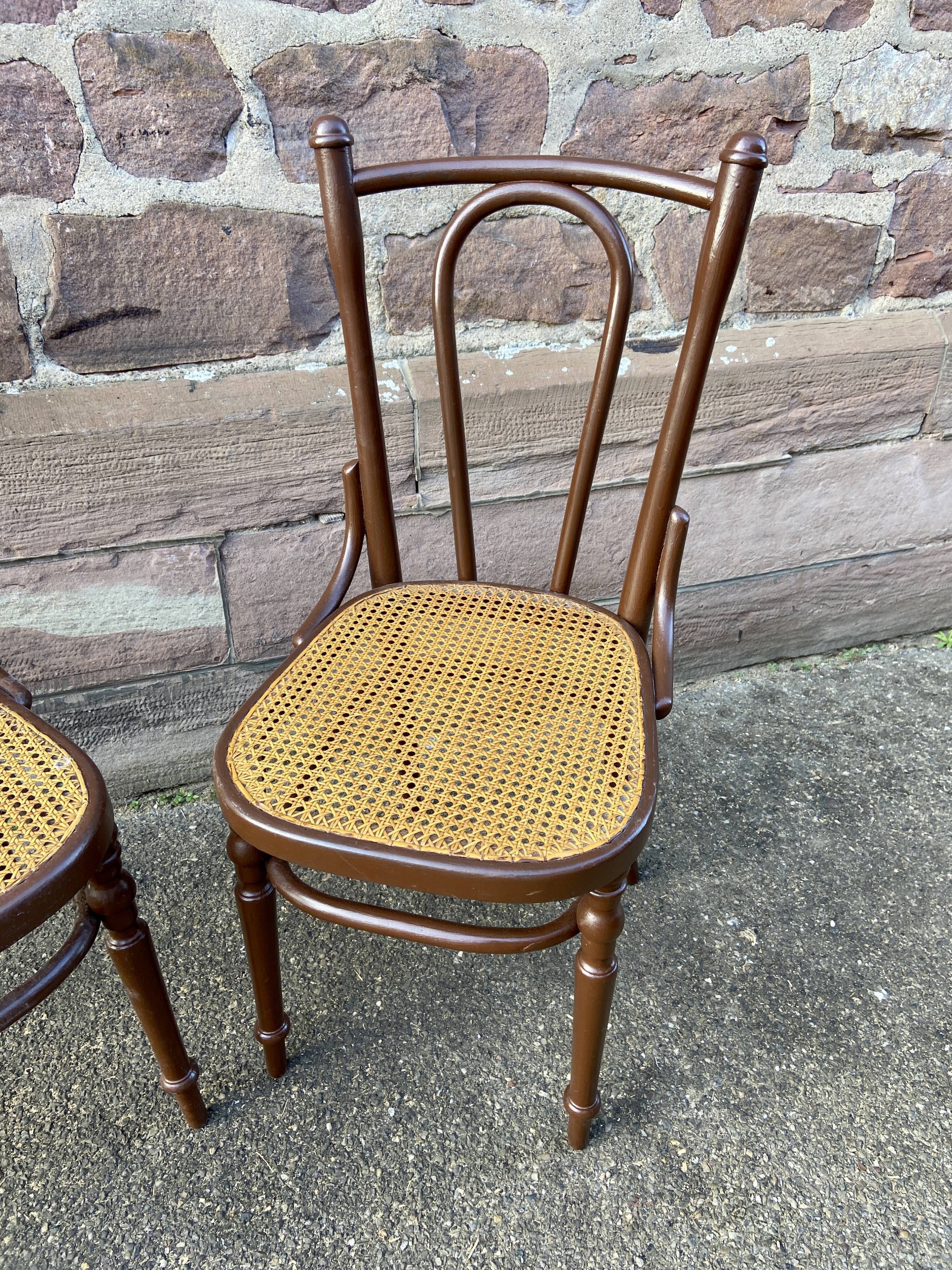 Pair of Viennese bistro chairs Fischel Nr 56 bentwood